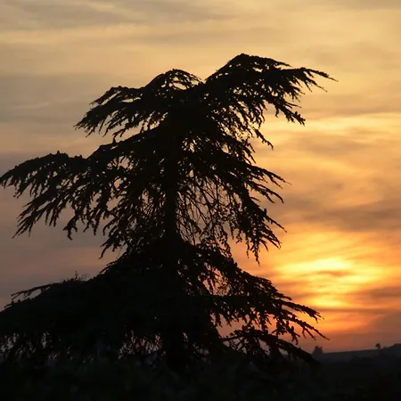 Les Ecrehous Prázdninový dům Riguepeu