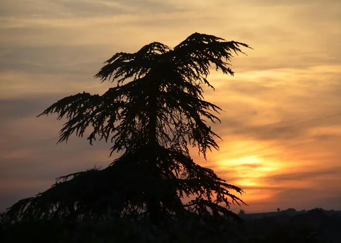 Les Ecrehous Ferienhaus Riguepeu