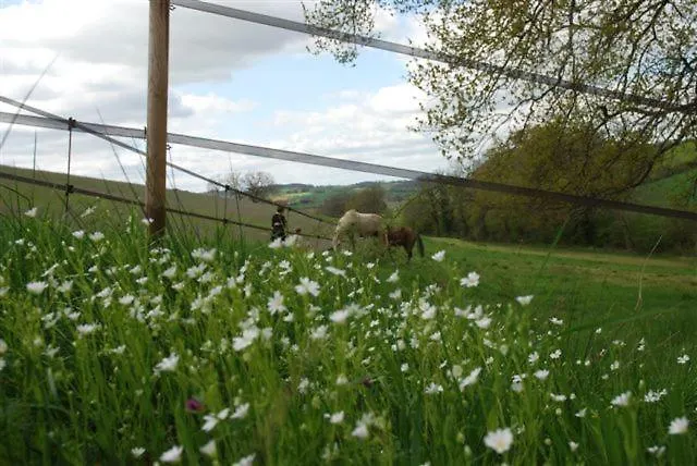 Ferienhaus Les Ecrehous